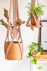 Intertwined Hand-Knotted Plant Hanger