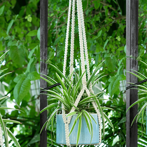 Minimal Hand-Knotted Plant Hanger