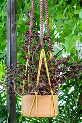 Two Toned Classic Hand-Knotted Plant Hanger