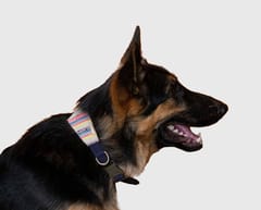 Handloom Cotton Premium Dog Collar