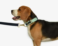 Sturdy Canvas Dog Leash