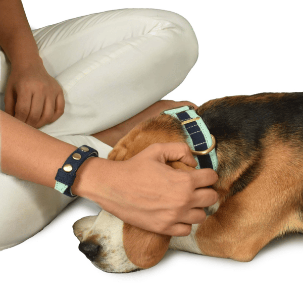 Matching Set Corduroy Dog Collar with Bond Band For Human