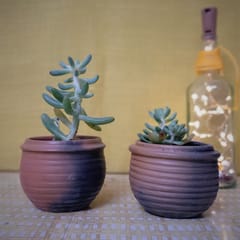 Terracotta & Jute Hanging cum Desktop Planters - Set of 2