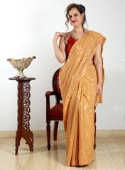 Beige Coloured Georgette Saree with Heavy Sequence work