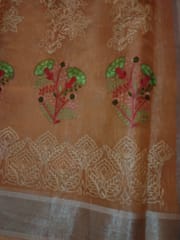Beautiful Banarsi Tissue Silk Saree in Melon Orange with Carnation floral Hand Embroidery and Chikankari work