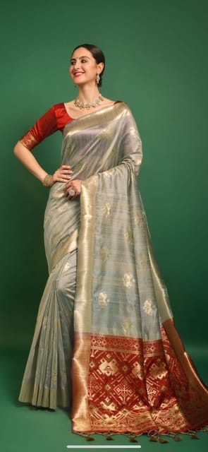 Ethnic Patola Raw Silk Saree in Fawn Colour with Red and Gold Aanchal