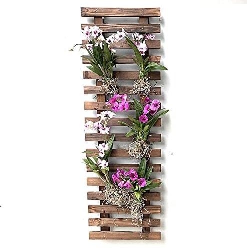29 x 5 x 90 cm - Wooden Hanging Wall Frame/Planter Stand (Single) -Brown