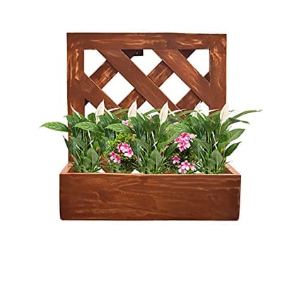 Buy 14.7 x 7.5 x 15.7 Inch - Wooden Standing Desktop/Wall Mounted Shelf Garden Display for Hanging Plants - Walnut Online | Urvann.com