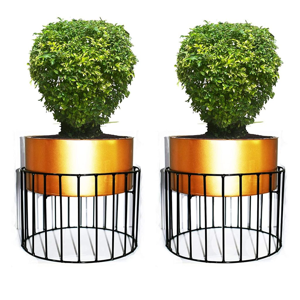 Set of 2 - Protracted Metal wire based Planter stand with Metal Pots