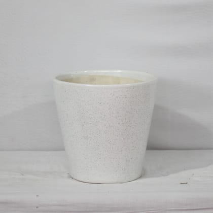 Buy 12X14 Inch White Balti Ceramic Planter Online | Urvann.com