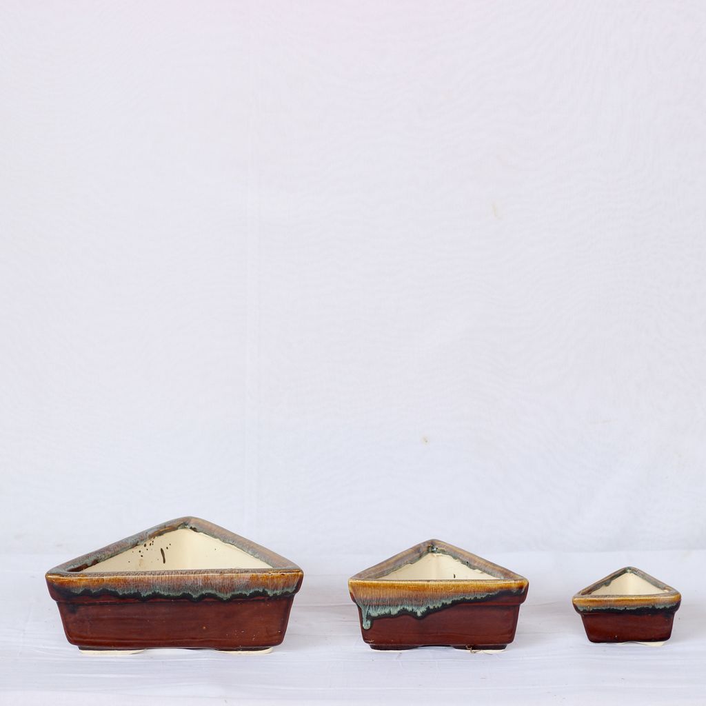 Bonsai Triangular tray- Set of 3- Brown (3.5 x 7, 3.5 x 6.5, 2.5 x 4 Inch)