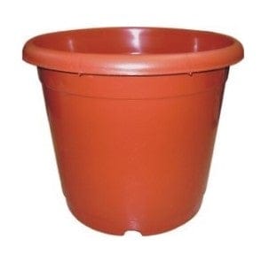 Buy 12 Inch Light Plastic Pot - Red Online | Urvann.com