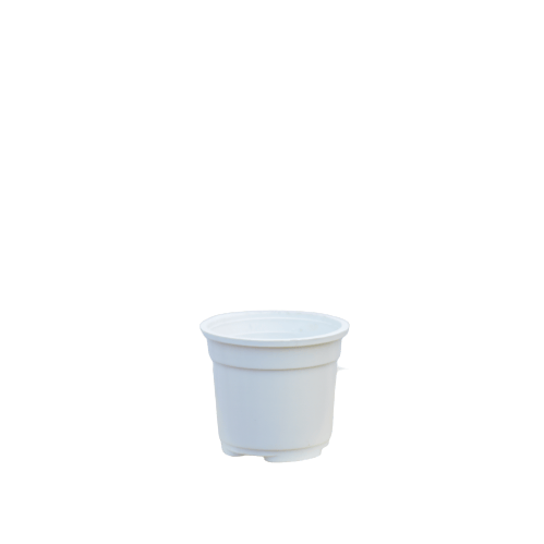 5X5 Inch Plastic Pot - White