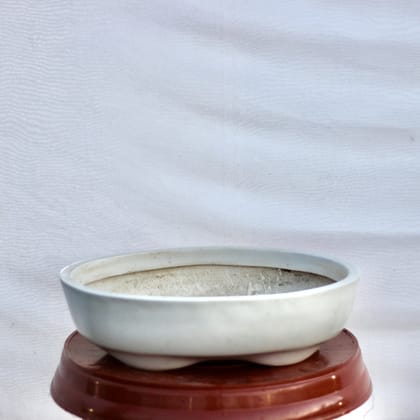Buy 4X12X14 Inch Powder Coated Bonsai Fiber Tray Online | Urvann.com