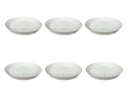 Buy Set of 6 - 6 Inch White Plate Online | Urvann.com