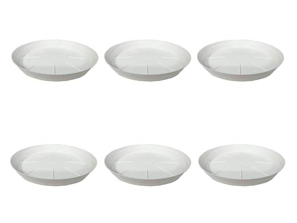 Set of 6 - 10 Inch White Plate