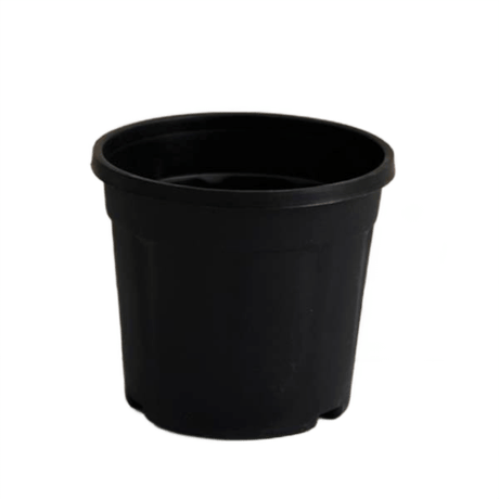 6 Inch Black Nursery Plastic Pot