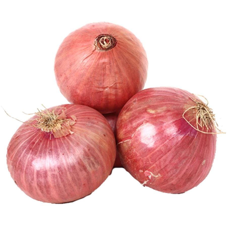 Onion Seeds -1 Packet - Excellent Germination