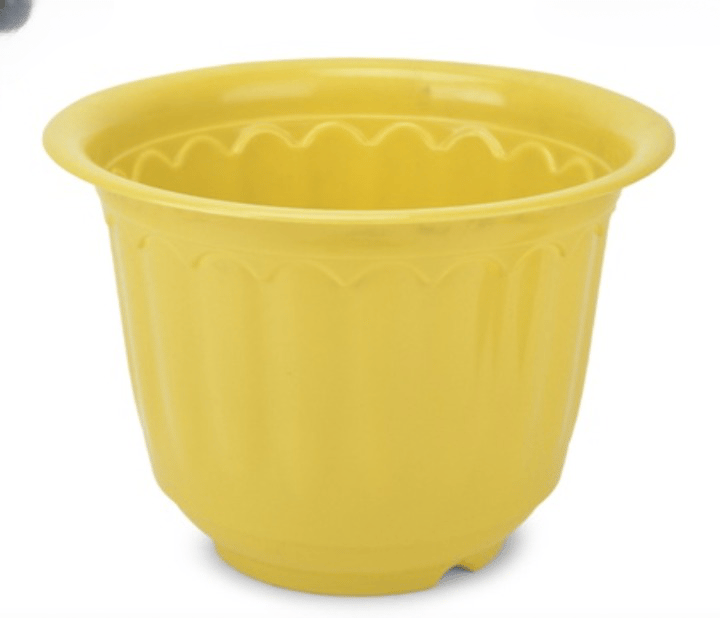 10 Inch - Yellow Jasmine Pot
