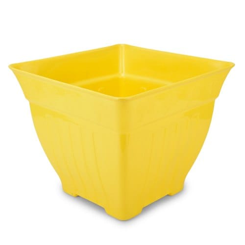 9 Inch - Yellow Simorita Pot