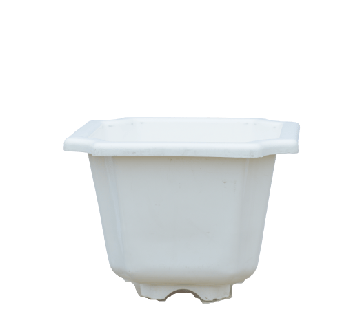 8X10 Inch Small Octa Planter - White (Yuccabe)