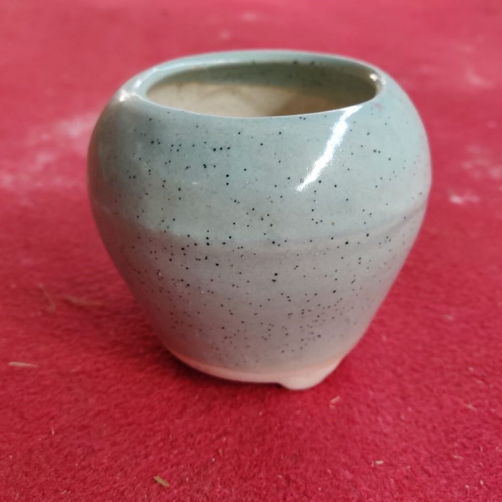 3.5 Inch Spotty Grey Apple Pot