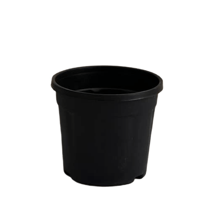 Set of 2 - 10 Inch Nursery Pot - Black