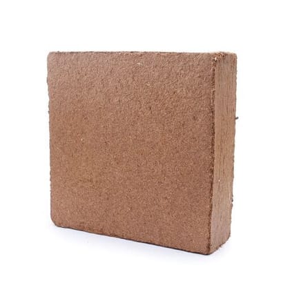 Buy Cocopeat Brick - 3.7 KG - expands to 12 litre Cocopeat powder - for excellent water retention in soil Online | Urvann.com