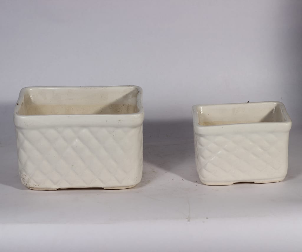 5 Inch And 7 Inch Set Of 2 Bonsai White Tray