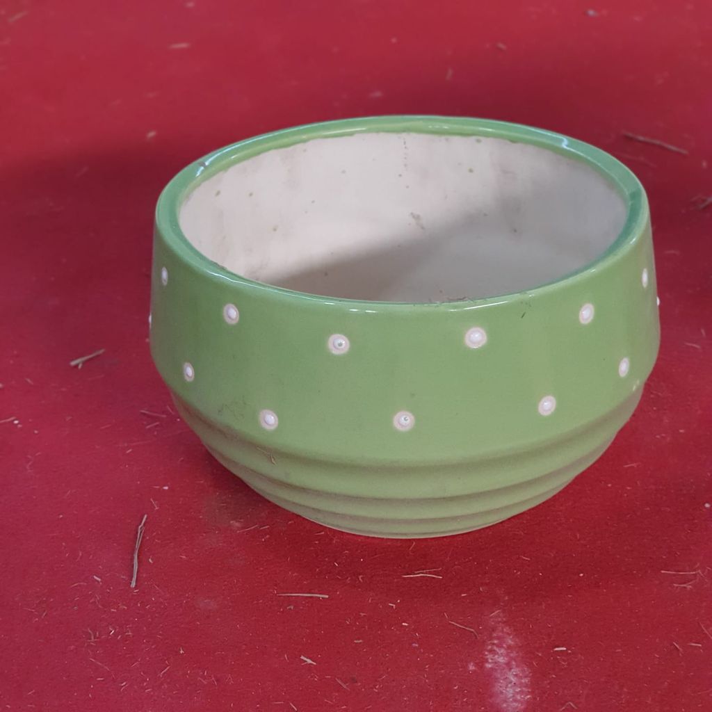 7 inch Green Polka Bonsai Ring Ceramic Planter