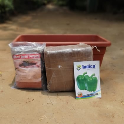 Buy Set of kitchen gardening kit- Capsicum Seeds + 17 inch high quality plastic planter + 1 Kg Vermicompost + 1 Kg 
Cocopeat block Online | Urvann.com