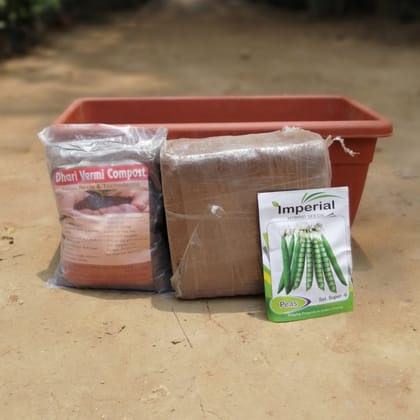 Buy Set of kitchen gardening kit- Peas Seeds + 17 inch high quality plastic planter + 1 Kg Vermicompost + 1 Kg 
Cocopeat block Online | Urvann.com