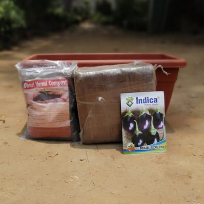 Buy Set of kitchen gardening kit- Brinjal Seeds + 17 inch high quality plastic planter + 1 Kg Vermicompost + 1 Kg 
Cocopeat block Online | Urvann.com