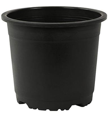 Buy 6 Inch Black Nursery Plastic Pots Online | Urvann.com
