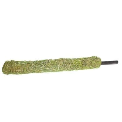 Buy 2.5 FT Moss Stick Online | Urvann.com