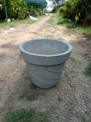 Buy 10 Inch Grey Elegant Cement Planter Online | Urvann.com