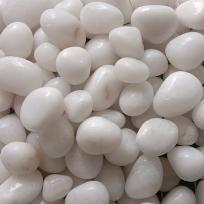 Buy White Decorative Pebbles - 1 kg Online | Urvann.com