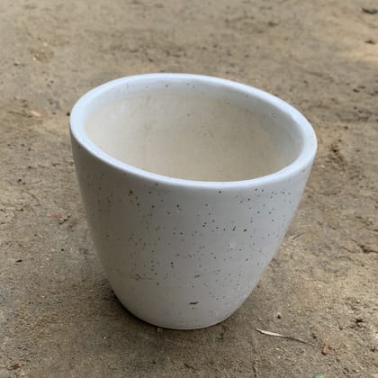 Buy 4 Inch White Classy Ceramic Pot Online | Urvann.com