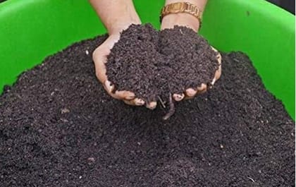 Buy Leaf Compost - 2 Kg Online | Urvann.com