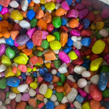 Buy Mix Colours Decorative Pebbles - 1 Kg Online | Urvann.com