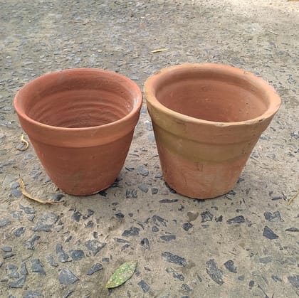 Buy Set of 2 - 6 Inch Clay Pot Online | Urvann.com