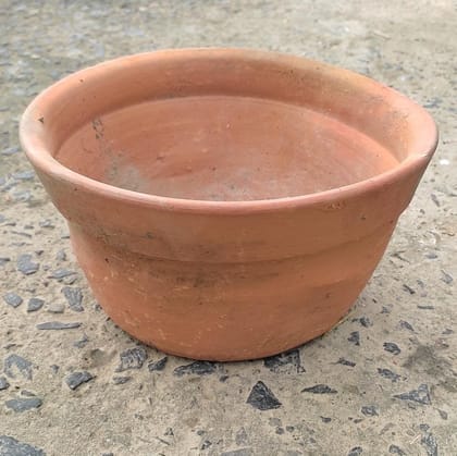Buy 8 Inch Clay Pot Online | Urvann.com