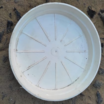 Buy 5 Inch White Plastic Plate / Tray Online | Urvann.com