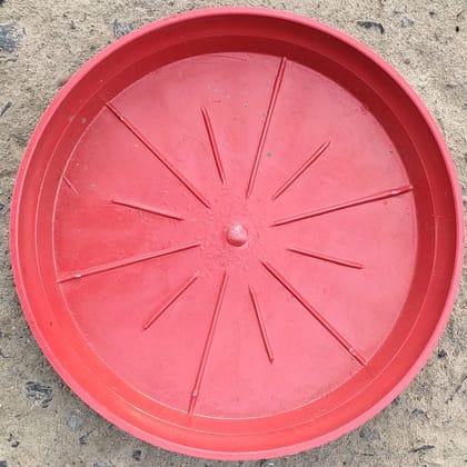 Buy 8 Inch Red Plastic Plate / Tray Online | Urvann.com