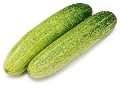 Buy Cucumber seed - Excellent Germination Online | Urvann.com