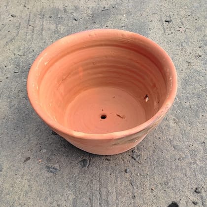 Buy 8 Inch Clay Pot Online | Urvann.com