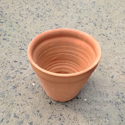 Buy 8Inch Clay Pot Online | Urvann.com
