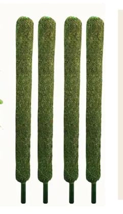 Buy 1-Moss Stick - 3 feet Online | Urvann.com