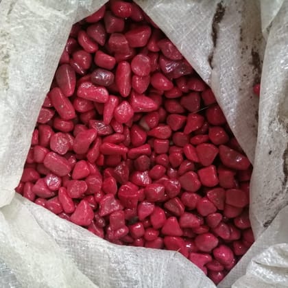 Buy Decorative Red Pebbles - 1 kg Online | Urvann.com