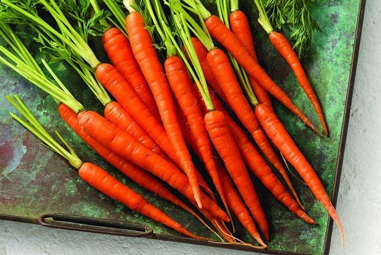 Selection Red Carrot Seeds - Excellent Germination